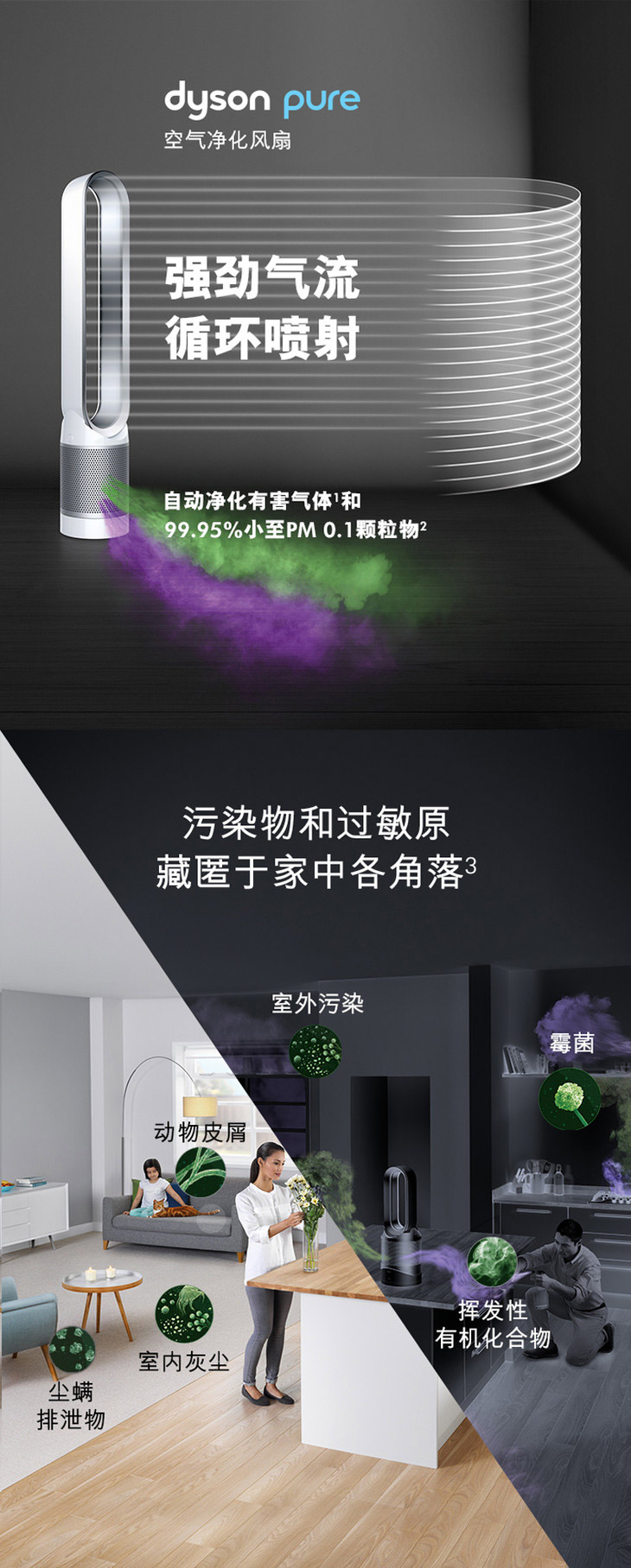 戴森-TP00-空氣凈化空氣01.jpg